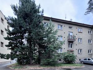 Pronájem bytu 2+1, Pardubice - Bílé Předměstí, Ke Kamenci, 57 m2