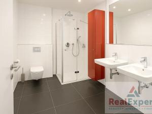 Pronájem bytu 4+kk, Praha - Radlice, Radlická, 184 m2