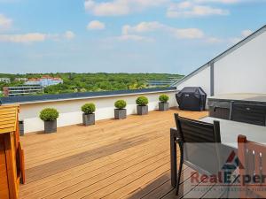 Pronájem bytu 4+kk, Praha - Radlice, Radlická, 184 m2