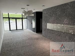 Pronájem bytu 4+kk, Praha - Radlice, Radlická, 184 m2