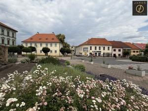Prodej rodinného domu, Žebrák, Plzeňská, 315 m2