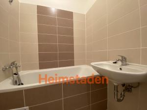 Pronájem bytu 1+1, Ostrava - Poruba, 17. listopadu, 44 m2