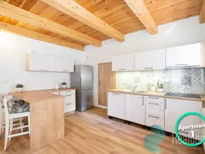 Prodej ubytování, Rožmberk nad Vltavou, 302 m2