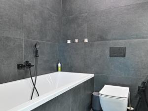 Pronájem bytu 3+kk, Brno, Mlýnská, 68 m2