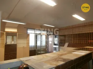 Pronájem obchodního prostoru, Žďár nad Sázavou, Havlíčkovo nám., 50 m2
