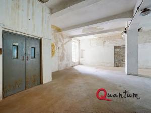 Prodej obchodního prostoru, Janská, 4600 m2