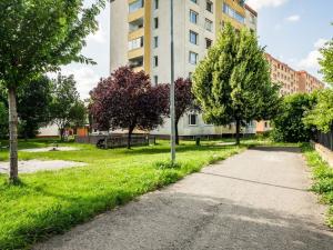 Prodej bytu 3+1, Olomouc, U cukrovaru, 62 m2
