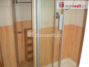 Pronájem bytu 1+kk, Praha - Vršovice, Přípotoční, 30 m2