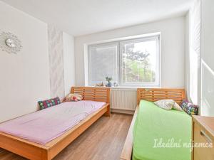 Pronájem bytu 3+kk, Brno, Šaumannova, 86 m2