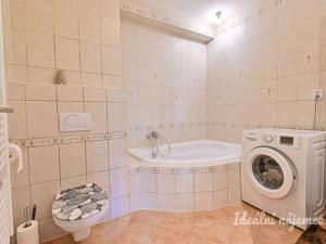 Pronájem bytu 3+kk, Brno, Šaumannova, 86 m2