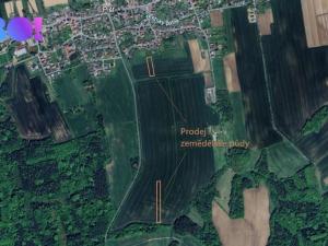 Prodej pole, Píšť, 8127 m2