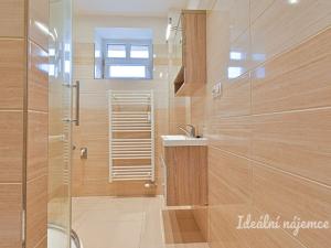 Pronájem bytu 2+1, Brno, Tábor, 52 m2