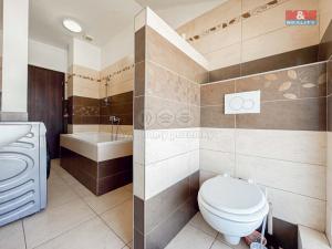 Prodej obchodního prostoru, Zdice, Čs. armády, 743 m2