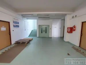 Pronájem skladu, Krnov - Pod Bezručovým vrchem, Albrechtická, 100 m2