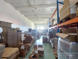Pronájem skladu, Krnov - Pod Bezručovým vrchem, Albrechtická, 100 m2