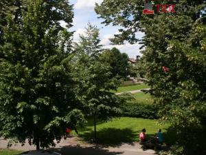 Pronájem bytu 1+1, Praha - Nové Město, Dřevná, 60 m2