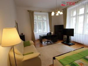 Pronájem bytu 1+1, Praha - Nové Město, Dřevná, 60 m2