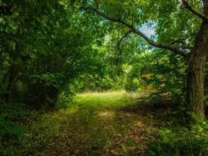 Prodej pozemku pro bydlení, Petrov - Chlomek, Zalomená, 1500 m2