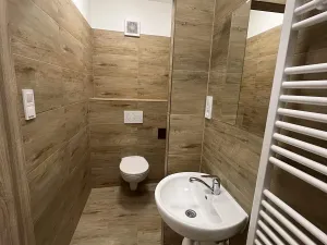 Pronájem bytu 1+kk, Olomouc, Uhelná, 33 m2