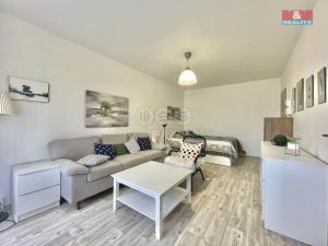 Pronájem bytu 1+1, Teplice, Alejní, 35 m2