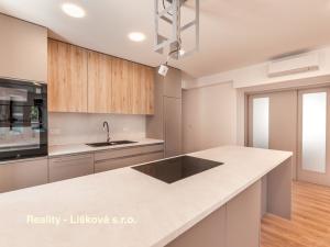 Pronájem bytu 3+kk, Ústí nad Labem, Bělehradská, 178 m2