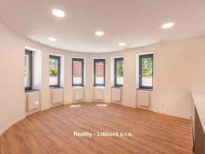 Pronájem bytu 3+kk, Ústí nad Labem, Bělehradská, 178 m2