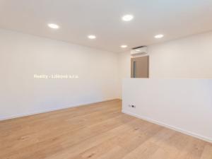 Pronájem bytu 3+kk, Ústí nad Labem, Bělehradská, 178 m2