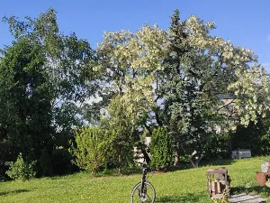 Prodej pozemku pro bydlení, Benátky nad Jizerou, 1520 m2