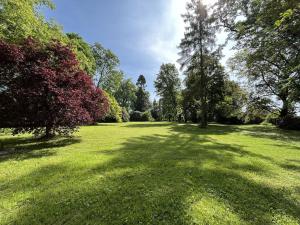 Pronájem ubytování, Holovousy, 10000 m2