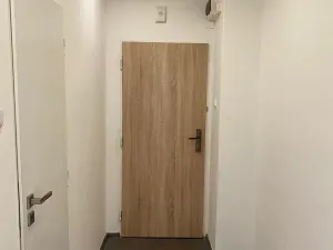 Pronájem bytu 2+1, Chomutov, Selská, 50 m2