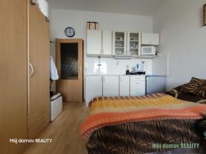 Pronájem bytu 1+kk, Praha - Michle, Jihlavská, 22 m2