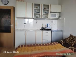 Pronájem bytu 1+kk, Praha - Michle, Jihlavská, 22 m2