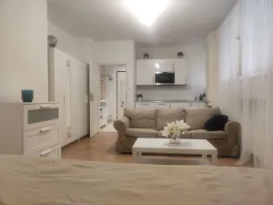 Pronájem bytu 1+kk, Praha - Nové Město, Vladislavova, 30 m2