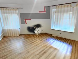 Prodej bytu 2+1, Ústí nad Labem, Švabinského, 50 m2