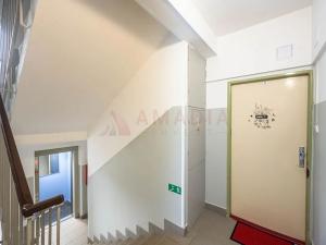 Prodej bytu 2+1, Praha - Malešice, Káranská, 52 m2