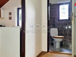 Pronájem bytu 1+1, Karlovy Vary - Hůrky, K Letišti, 63 m2