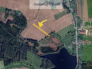 Prodej pole, Kamenice nad Lipou - Vodná, 6113 m2