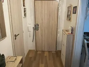 Pronájem bytu 1+1, Pardubice, Lonkova, 41 m2