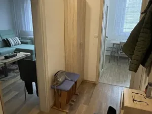 Pronájem bytu 1+1, Pardubice, Lonkova, 41 m2