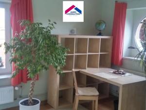 Pronájem bytu 1+kk, Brno, Kohoutova, 42 m2