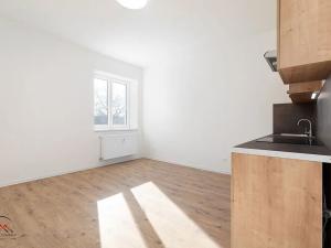 Pronájem bytu 1+kk, Ostrava, Palackého, 25 m2
