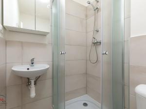 Pronájem bytu 1+kk, Ostrava, Palackého, 25 m2