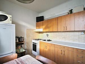 Pronájem bytu 1+1, Brno, Renčova, 49 m2