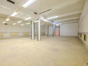 Pronájem skladu, Ostrava, 302 m2