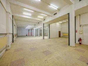 Pronájem skladu, Ostrava, 302 m2