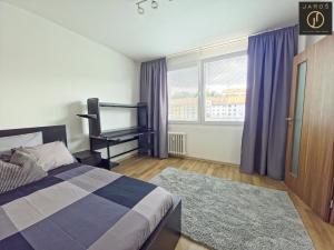 Pronájem bytu 1+1, Děčín - Děčín I-Děčín, Řetězová, 27 m2