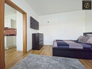 Pronájem bytu 1+1, Děčín - Děčín I-Děčín, Řetězová, 27 m2