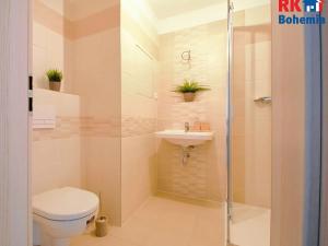 Prodej bytu 1+kk, Cerhenice, Za Cukrovarem, 36 m2