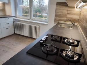 Pronájem bytu 2+1, Ostrava, Dalimilova, 55 m2