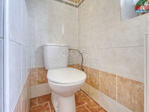 Prodej rodinného domu, Staré Sedlo - Darmyšl, 118 m2